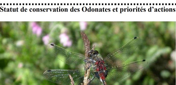 Liste rouge des Libellules menacées du Poitou-Charentes 2007