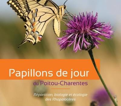 Exposition « les Papillons de jour du Poitou-Charentes »