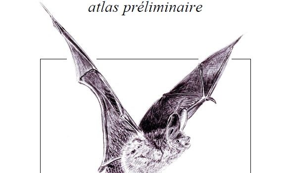 Chauves-souris du Poitou-Charentes : atlas préliminaire