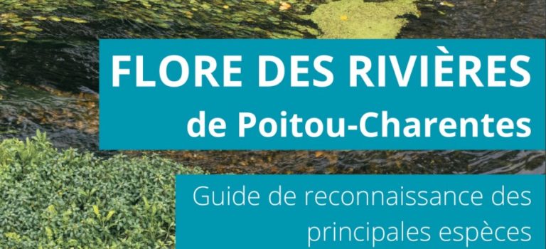 Guide de reconnaissance des principales hydrophytes de Poitou-Charentes