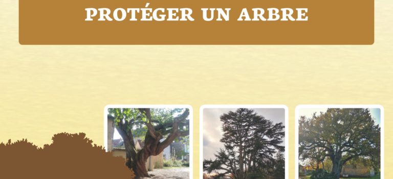 Protéger un arbre : le guide Vienne Nature