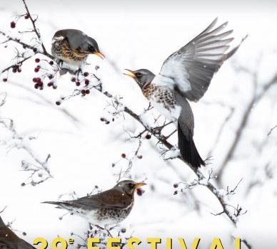 Le réseau PCN au Festival International du Film Ornithologique 2023