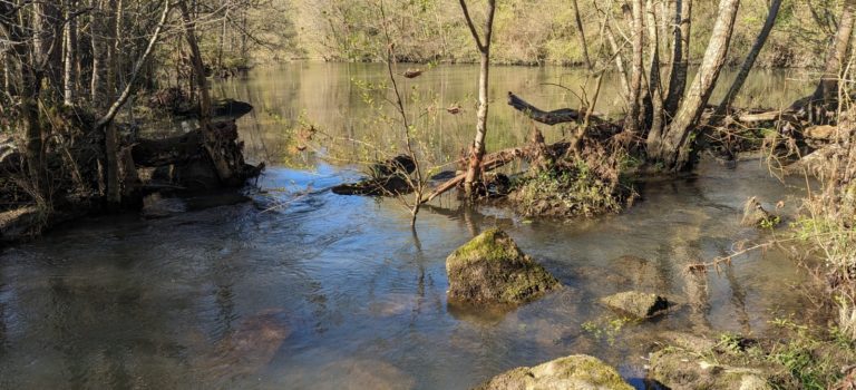 Gestion de l’eau du bassin du Clain – les conditions de la participation des associations au PTGE