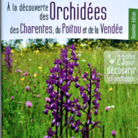 A la découverte des Orchidées des Charentes, du Poitou et de la Vendée