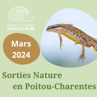 Sortie nature mars 2024