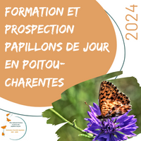 Formations et prospections papillons de jour en Poitou-Charentes