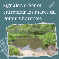 Participez au programme « Mares du Poitou-Charentes » !
