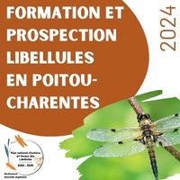 Formations et prospections libellules en Nouvelle-Aquitaine