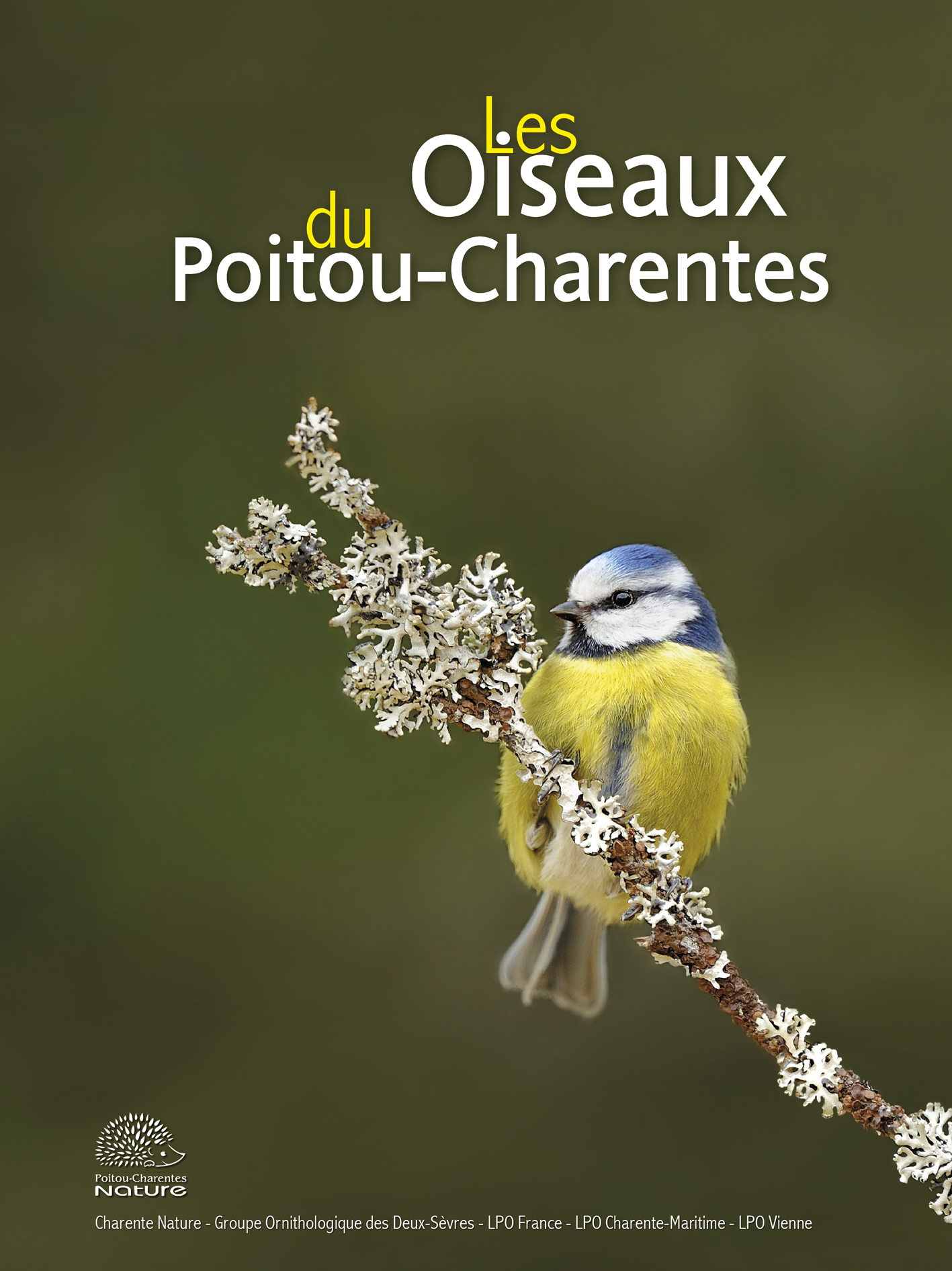 Les oiseaux du Poitou-Charentes à 15 € seulement