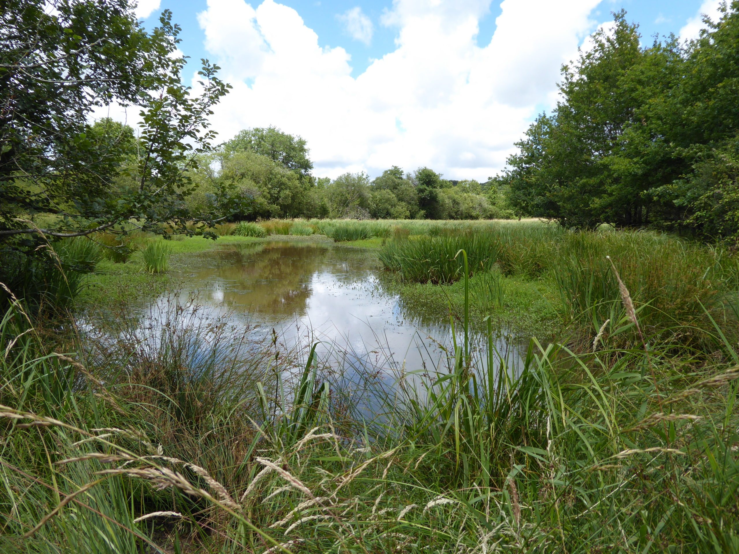 Inventaire des mares du Poitou-Charentes