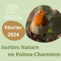 Sorties nature février 2024