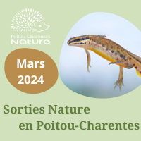 Sorties nature mars 2024