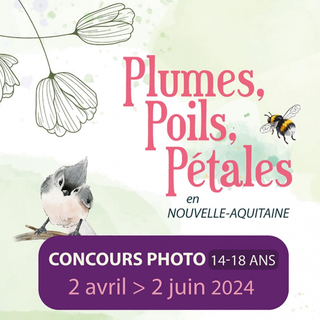 Concours Plumes, Poils, Pétales en Nouvelle-Aquitaine