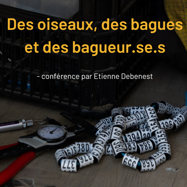 Conférence Des oiseaux, des bagues et des bagueur.se.s