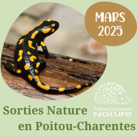 Sorties nature mars 2025