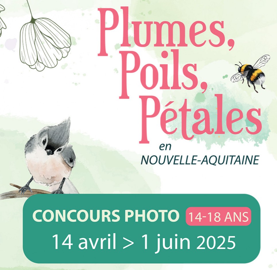 Concours photo « Plumes, Poils, Pétales » 2025