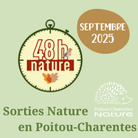 Sorties nature septembre 2025