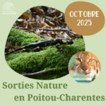 Sorties Nature Octobre 2025