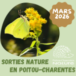 sorties nature mars 2026