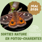 Agenda mai 2026