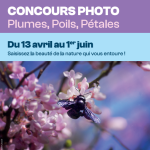 Concours plumes, poils, pétales 2026