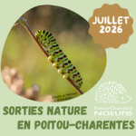Sortie nature juillet 2026