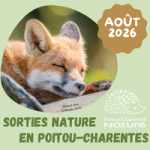 Sorties nature PCN