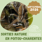 Sorties nature septembre 2026