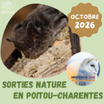 Sorties Nature 2026
