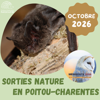 Sorties nature octobre 2026