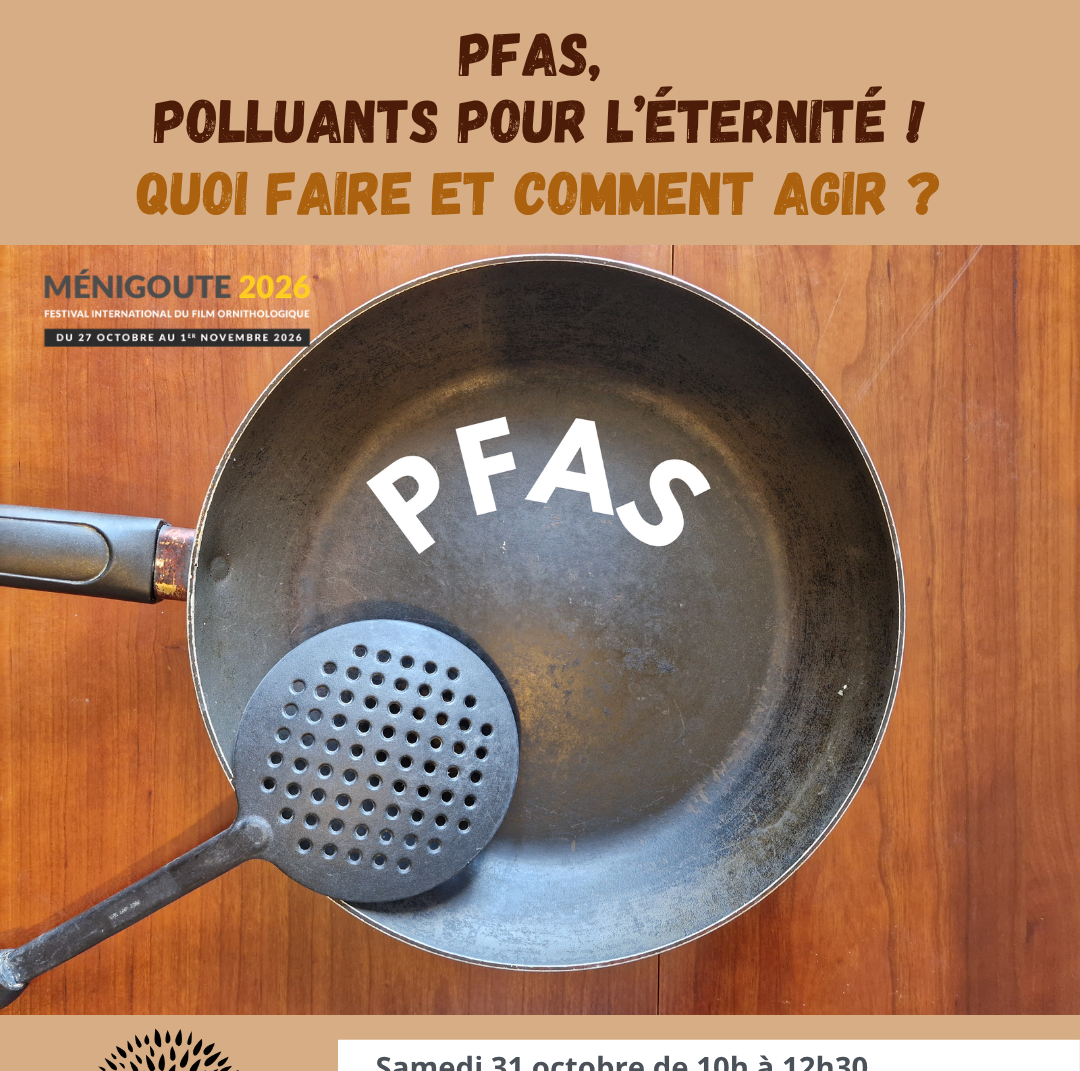 Conférence PFAS polluants pour l&rsquo;éternité