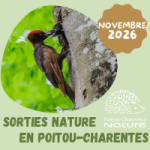 Sorties nature novembre 2026