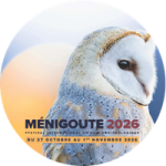 FIFO 2026